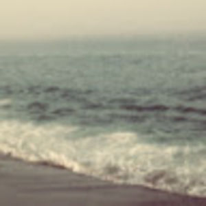 Meet your Posher, Bridget